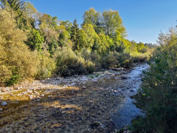 Il torrente Torre a pochi passi dall'area sosta camper di Tarcento