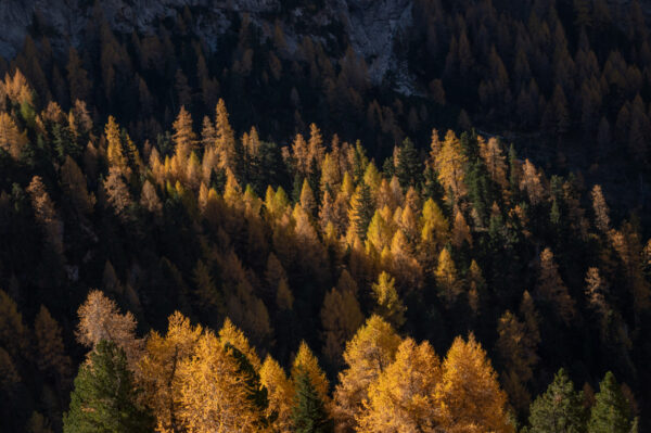 Lago di Fedaia, rif. Viel del Pan