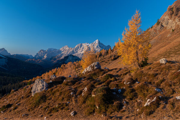 Rifugio città di Fiume al lago di Federa